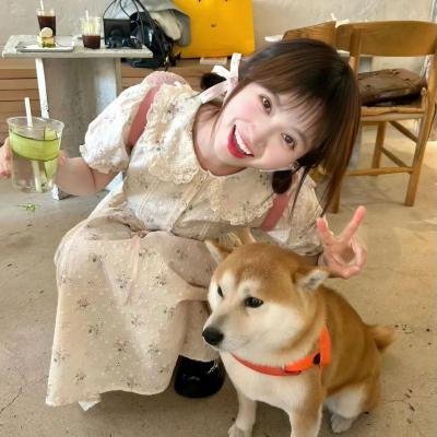 出墙花
